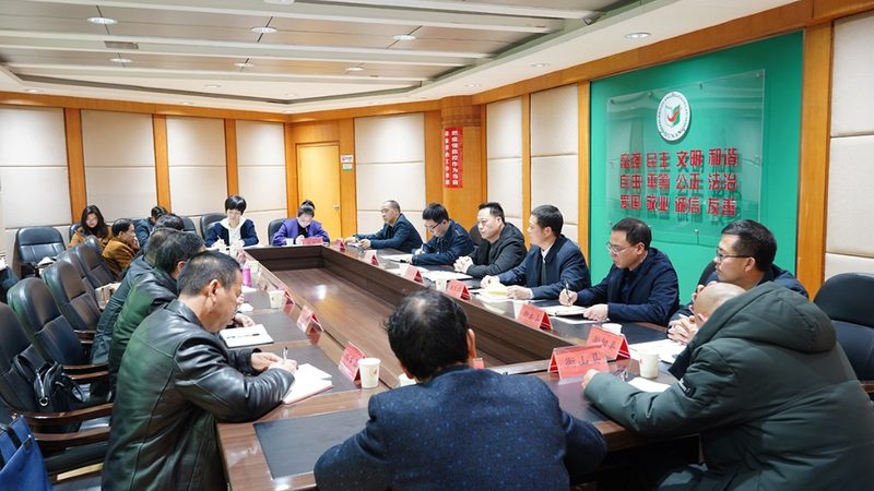 自考本科与网络教育的专业选择与对比解析**